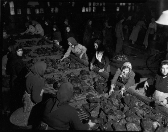 FedericoPatellani 01