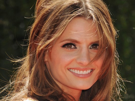 Stana Katic Wallpapers @ go4celebrity.com