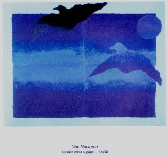 voo-nocturno