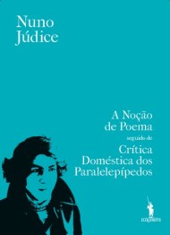 A Noção de Poema seguido de Crítica Doméstica dos Paralelepípedos