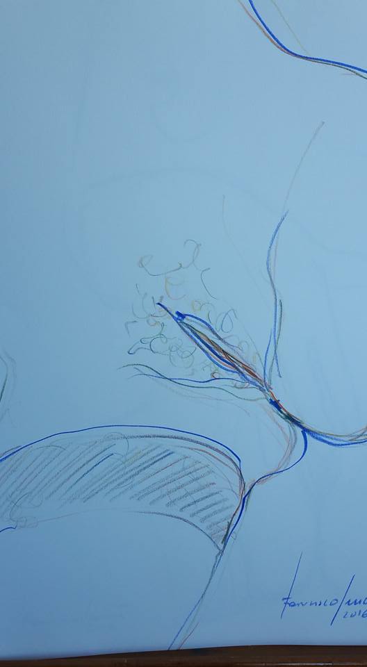 fs05